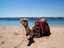 hurghada-strand-1 hurghada-strand-1