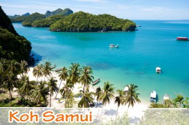 Koh Samui die Kokossnuss Insel