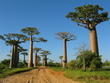 Madagaskar